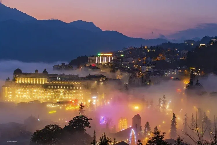 Sapa, Tam Dao, Ninh Binh